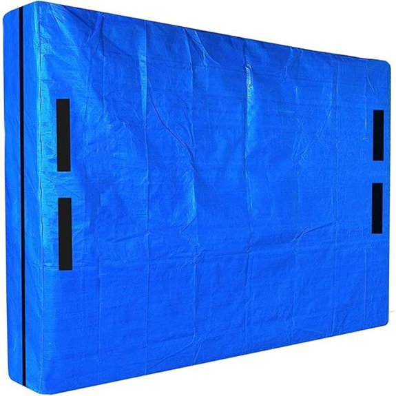 SGPAC Heavy Duty Queen Mattress Storage Bag