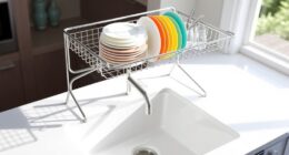 top rated sink drying racks