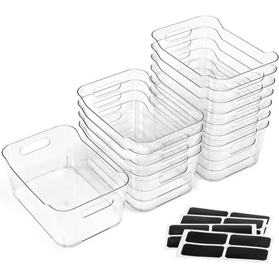 12-Pack Clear Plastic Storage Bins with Labels