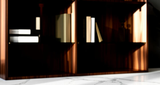 2 Best Office Bookshelf With Doors in 2026