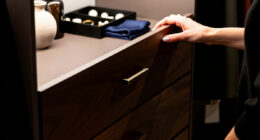 5 Best Best Closet Dresser Combo System in 2026