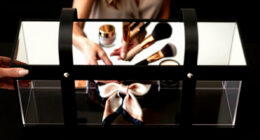 5 Best Large Vanity Makeup Organizer Cases in 2026