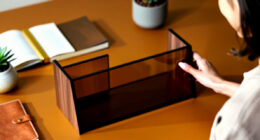 8 Best Bookshelf Organizers With Doors in 2026