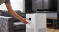 11 Best Dehumidifier for Media Room in 2026