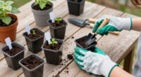 10 Best Container Gardening Supplies in 2026