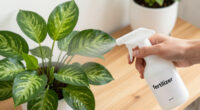 9 Best Pothos Fertilizers in 2026