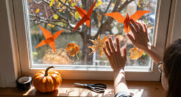 15 Best Halloween Window Decorations for Spooky Displays in 2027